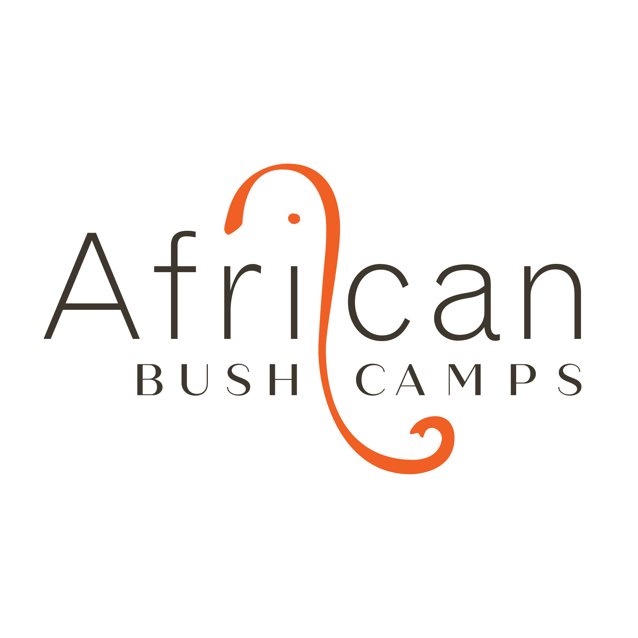 African Bush Camps