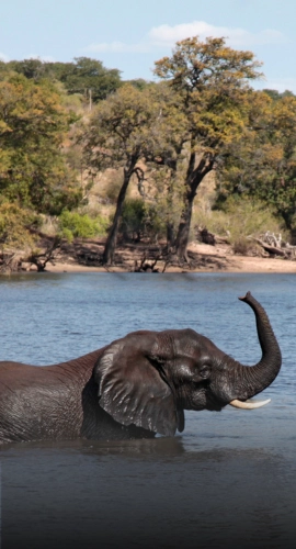Botswana