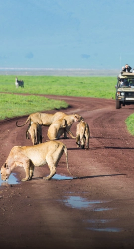 Tanzania