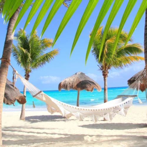 carribean